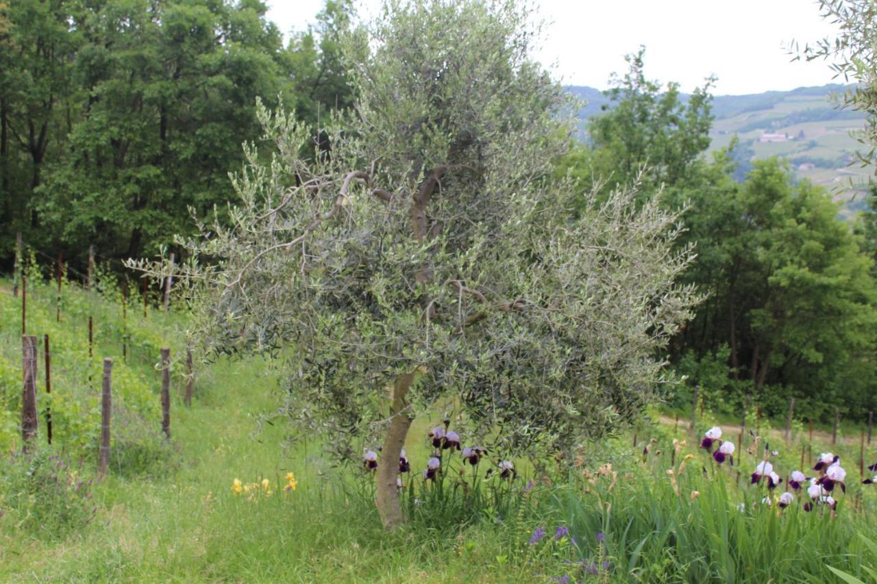 Agriturismo La Rovere Cossano Belbo Luaran gambar